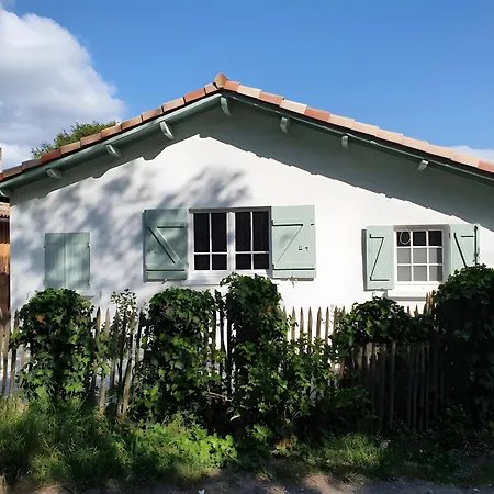 O'wazo, Jolie Maison, Piscine Nyaraló *