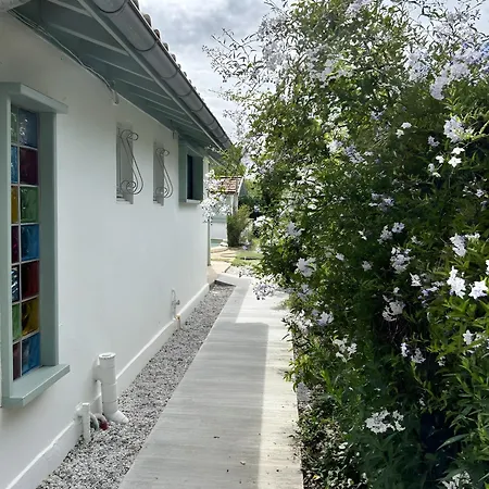 O'wazo, Jolie Maison, Piscine Tatil Evi *